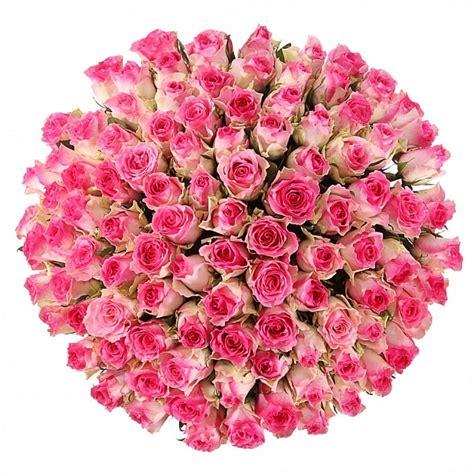 Huge Bouquet Of Roses Pink Buy In Vancouver Fresh Flowers Delivery