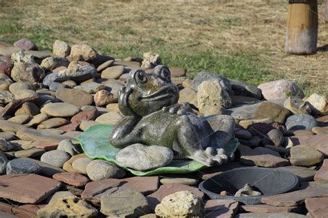 Statue of a frog on a water lily. A statue on pebbles. | Nature Stock Photos ~ Creative Market