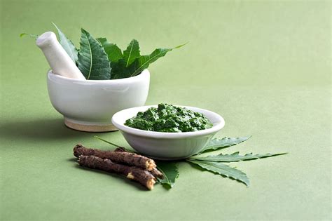 Health Benefits Of Neem Medicinal Properties In Hindi Amar Ujala