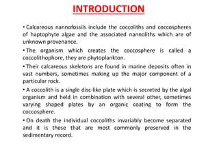 Nannofossils- Swapnil.pptx