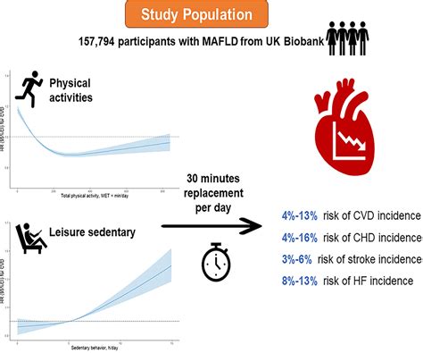 Leisure Sedentary Behavior Physical Activities And Cardiovascular