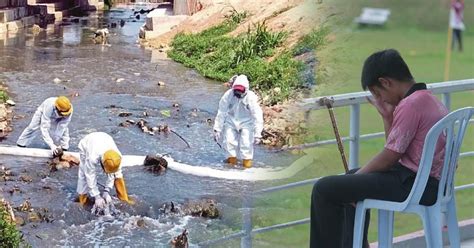 Penyakit Mangsa Sungai Kim Kim Tiada Ubat Berita Harian