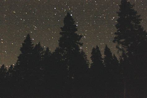 metapundit.net - Starry Night