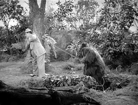 Safari Abbott And Costello Who S On First