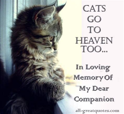 Quotes About Cats And Heaven. QuotesGram