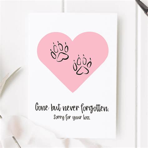 Dog Sympathy Cards | Pet Loss Cards Made in Ireland | Cuando