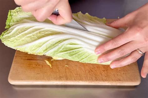 How To Cook Napa Cabbage And 5 Easy Japanese Recipes Chef Ja Cooks