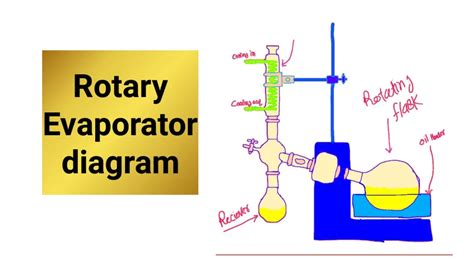 1.3 Rotary Evaporator Principle And Application