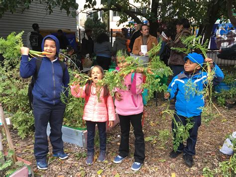 Make the Road New York: NYC Food Based Community Organization Spotlight