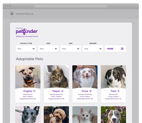 Embeddable Custom Pet List | Free Widget | Petfinder