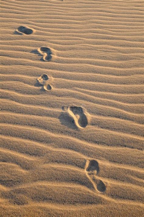 Tiro Vertical Das Pegadas Na Duna De Areia Foto De Stock Imagem De