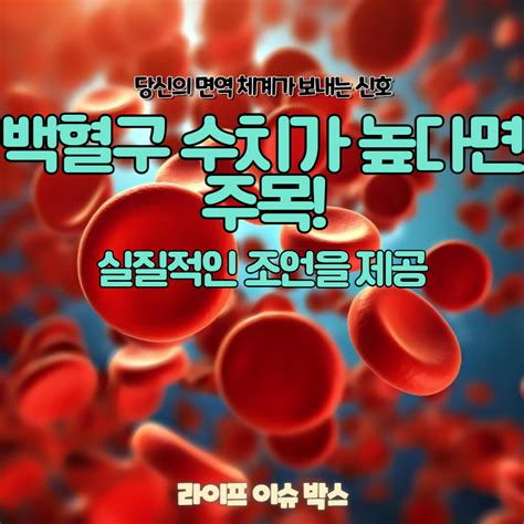 백혈구 수치가 높다면 주목 백혈구 수치 상승의 주요 원인과 건강한 면역 체계를 유지하기 위한 실질적인 조언을 제공합니다