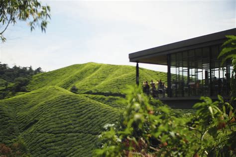 Cameron Highlands Premier Holidays