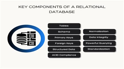 What Is Rdms Relational Database Management System Explained