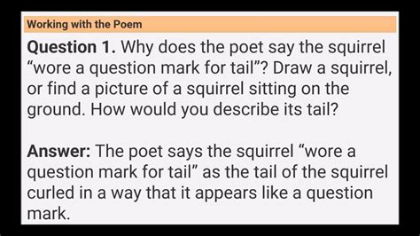 Ncert Solutions For Class 7 English Unit 1 Poem The Squirrel Youtube