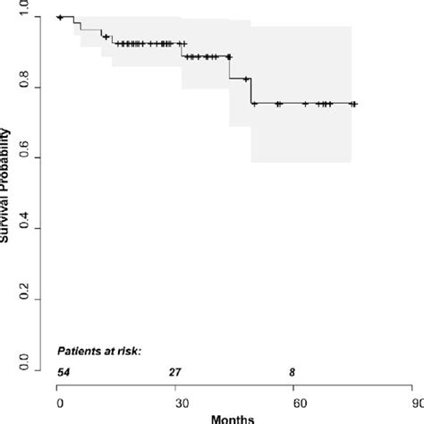 Kaplan Meier Curve Depicting Estimated Overall Survival Probabilities