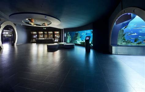 Aquarium & Florya Mall Tour - Karaz Tourism