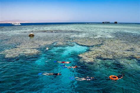 Sharm El Sheikh Barriera Corallina La Tua Guida Turistica