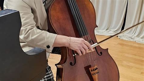 A Guide To Tuning Your Cello As A Beginner Kandm Music School