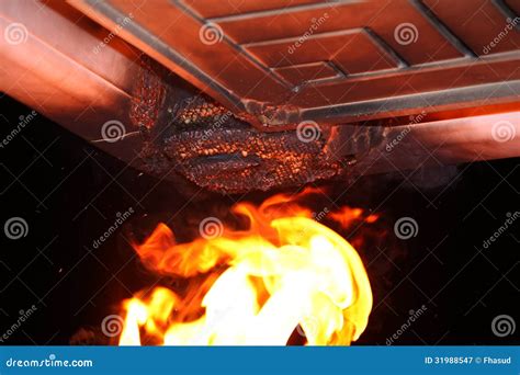 Burning of Vespa Orientalis S Nest Under Eaves Stock Image - Image of ...