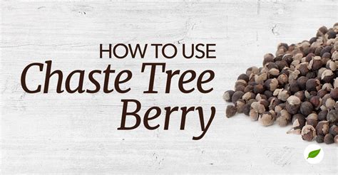 Chaste Tree Berry Uses To Support Your Overall Health