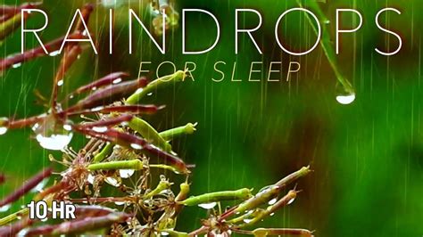 Raindrops Sounds For Sleep Or Relaxation 3 Hours Rain Sounds Sound