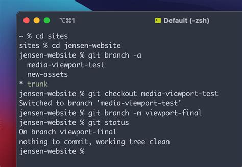 「git Rename」を使用してgitのブランチ名を変更する方法 ｜kinsta®