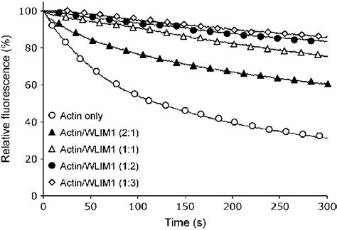 wlim stabilizes actin filaments  vitro  scientific diagram