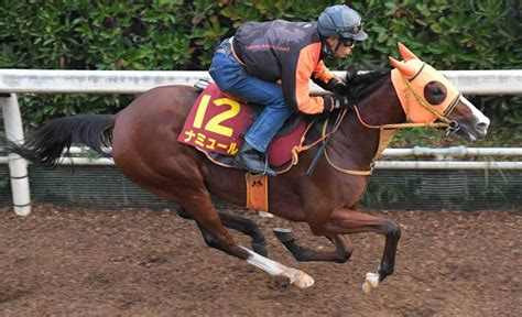 【秋華賞】ナミュール 躍動感満ちた走り 高野師「思ったより時計出た」競馬・レースデイリースポーツ Online