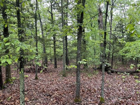 Ash Flat Sharp County Ar Recreational Property Undeveloped Land