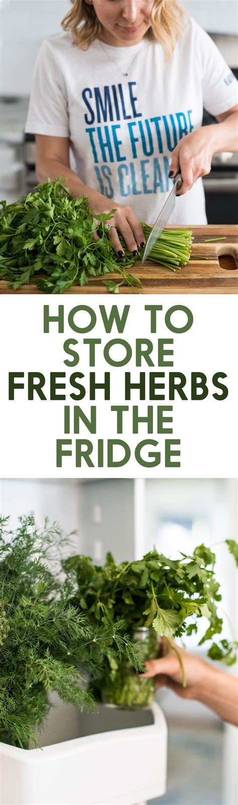 How To Store Fresh Herbs In The Refrigerator Lexi S Clean Kitchen