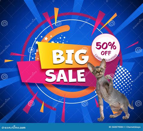 Advertising Poster Pet Shop Sale Cute Cat And Discount Offer On Blue