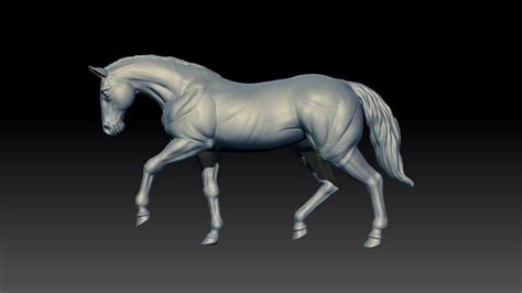 Horse 3D Model - TurboSquid 1704449