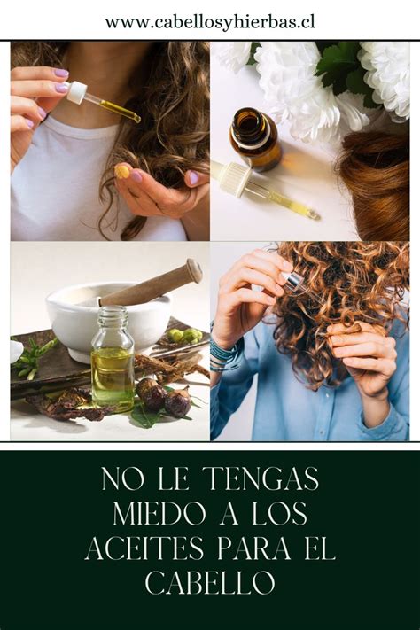 Mujeres Aplicando Aceites Naturales En El Cabello Pelo Crespo Aceite