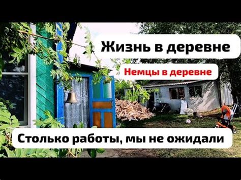 Из Германии в Россию | Жизнь в деревне | 🐑 животные и дрова - YouTube