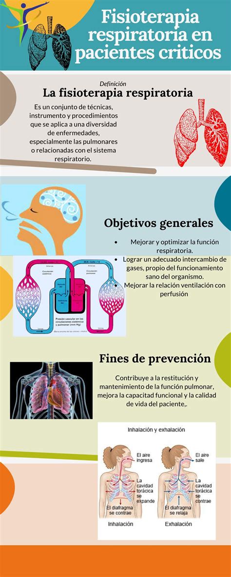 Infografia De Fisioterpia Respiratoria En Pacienten Critico By