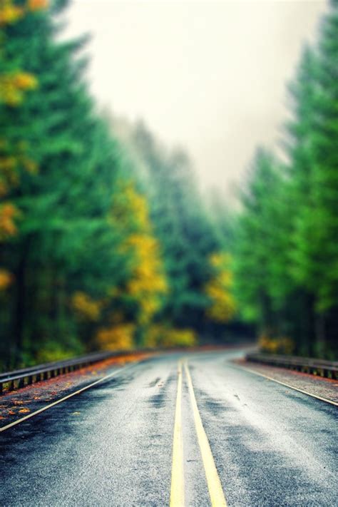 Highway Road Nature Tree Cb Picsart Background Hd Cbeditz