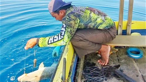 BEGINI CARA MANCING IKAN BESAR PAKAI UMPAN HIDUP STRIKE TERUS YouTube