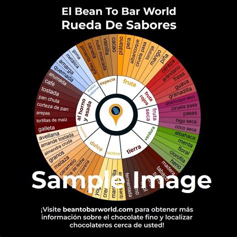 El Rueda De Sabores En Español — Bean To Bar World