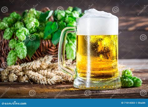 Vers En Koud Bier Met Tarwe En Hop Stock Afbeelding Image Of Houten