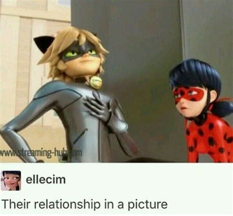 Adrien Agreste/Cat Noir x Reader One Shots - Memes and Pictures (Not an ...