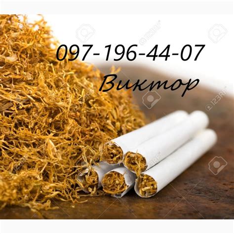 Купить ТАБАК "КЕМЕЛ", "ДАВИДОВ", "СОБРАНИЕ" Вирджиния Голд, Милениум 0 ...