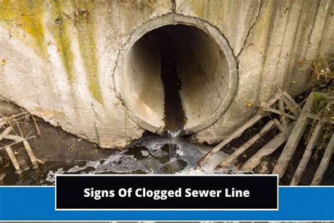 Top 5 Signs Of Clogged Sewer Line Key Causes And Fixes