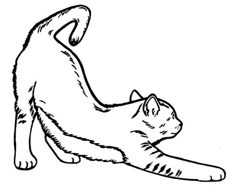 Stretching Cat Drawing - ClipArt Best