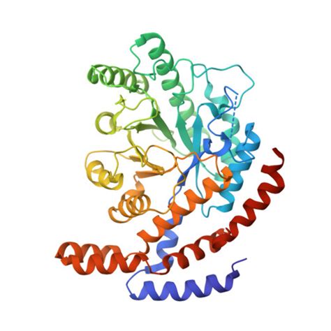 Rcsb Pdb Jq Crystal Structure Of Lactobacillus Rhamnosus L