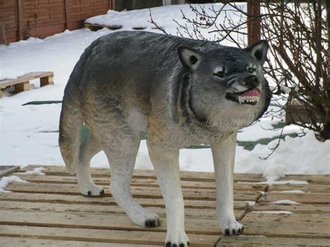 Gereizter Deko Wolf Figur Stehend Lebensgross Cm Lang