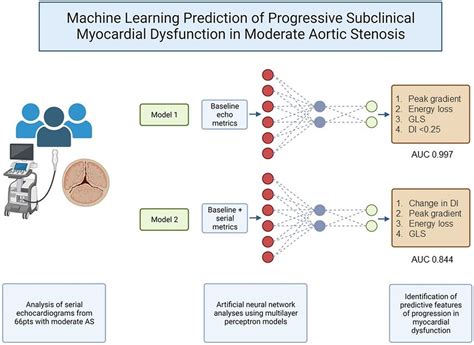 Frontiers Machine Learning Prediction Of Progressive Subclinical