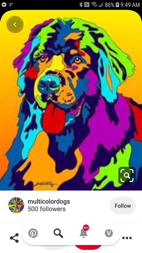 Pin By Val Connell On Multicolored Animals Dog Painting Pop Art Dog