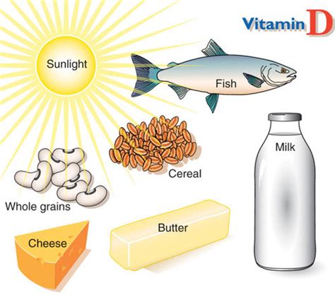 Micronutrients Essential For Bone Health Calcium And Vitamin D