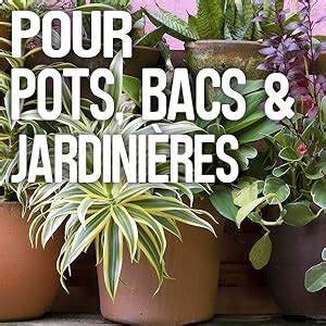 Fertiligène FBPV Engrais Bâtonnets Nutritifs x 40 Pour des plantes